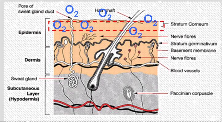 Oxígeno en la Piel